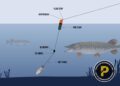 Mastering Deadbaiting: The Best Pike Rigs for Lakes - Predator Fishing ...