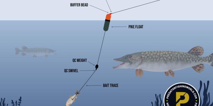 Mastering Deadbaiting: The Best Pike Rigs for Lakes - Predator Fishing ...
