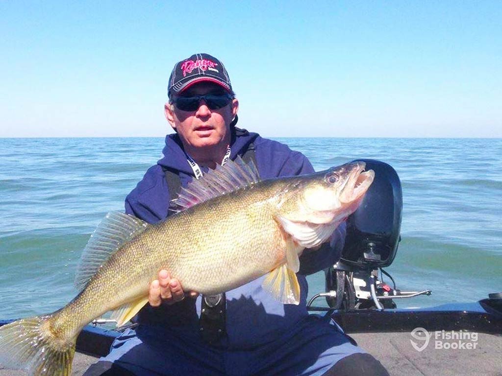 Walleye Fishing - Cbolodge